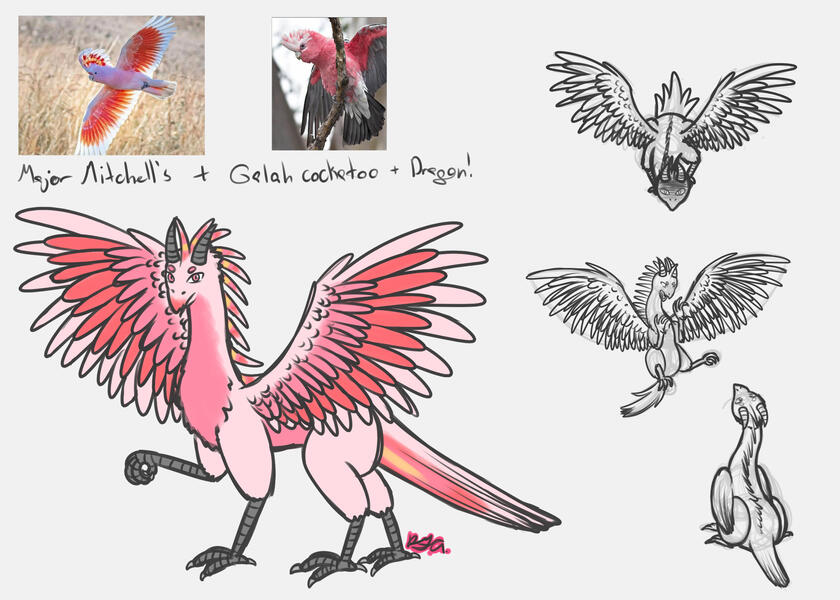 Pink Cockatoo Dragon design